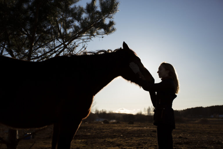 elegant-horse-silhouette-against-dawn-sky.jpg